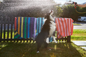 Dock & Bay Dog Towels