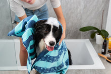 Load image into Gallery viewer, Dock &amp; Bay Dog Towels