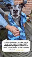 Load image into Gallery viewer, Dock &amp; Bay Dog Towels