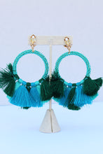 Load image into Gallery viewer, Baru Teal Earrings