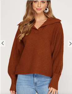 Cinnamon Collared Sweater