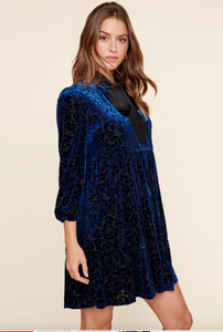 Bridget Blue Velvet Dress